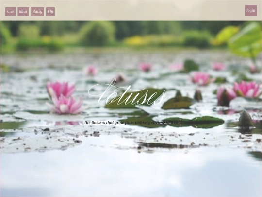 lotus screenshot