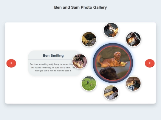 pets/benandsam screenshot