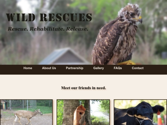 gallery screenshot
