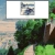 alphacarinae.neocities.org avatar