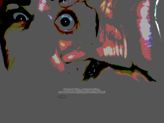 open screenshot