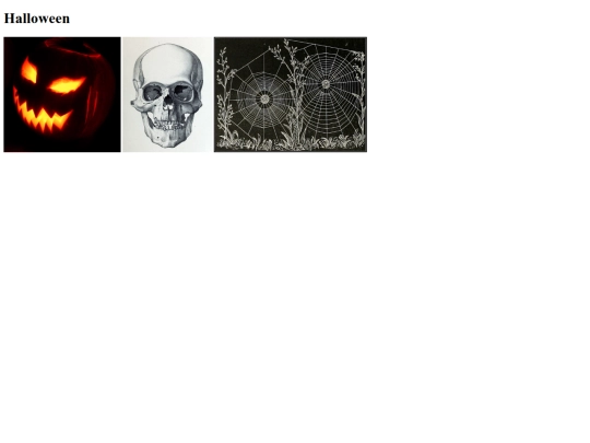 2025-2026/C10/images/gallery screenshot