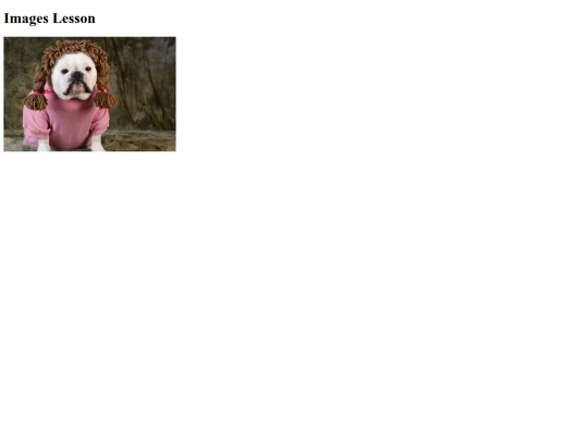 2025-2026/C10/images/images screenshot