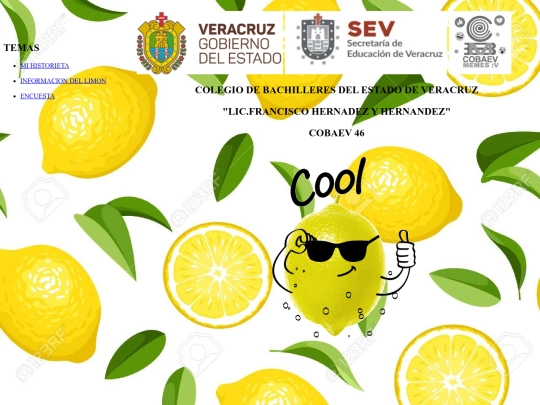 pagina screenshot