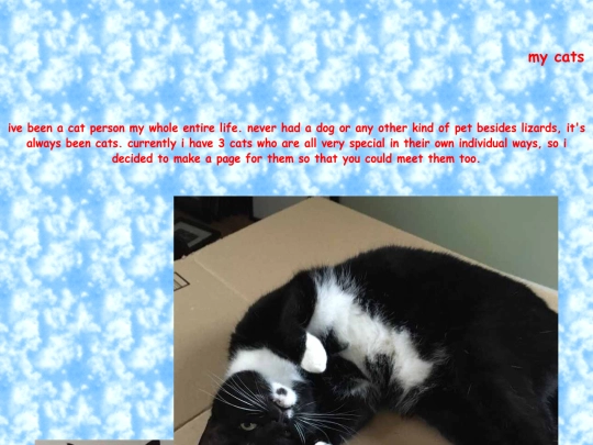 cats screenshot