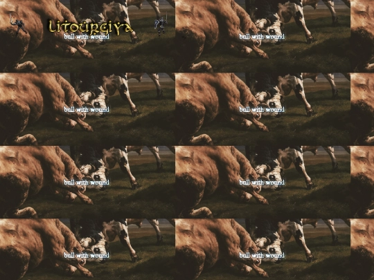 header screenshot