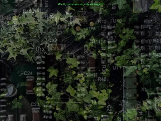 page screenshot