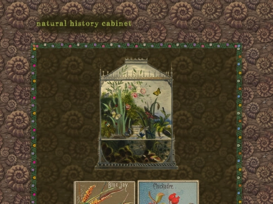 naturalhistorycabinet screenshot