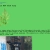 Mugwort in New York City avatar