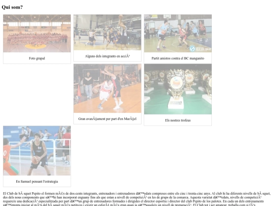 ExamenCSS_Pau Arcas/exercici 3/quisom screenshot