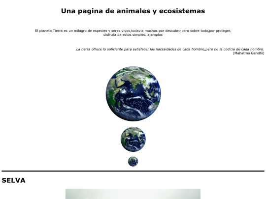practica05/source/practica0005 screenshot
