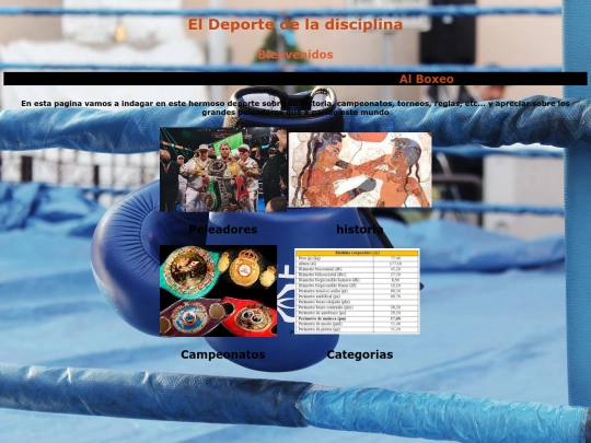 proyecto screenshot