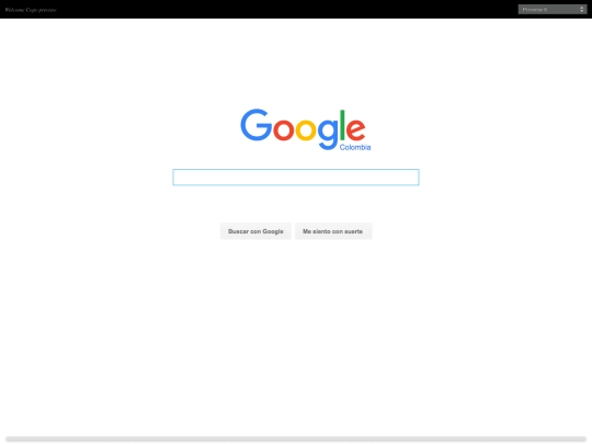 google/Welcome Copy/Project_Previewer screenshot