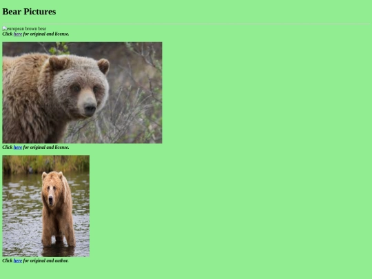 Image screenshot