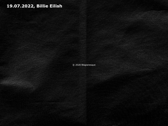 neocities/music/concerts/billie screenshot