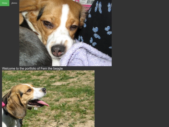 fernthebeagle screenshot