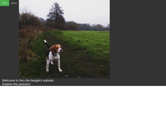 my first website screenshot