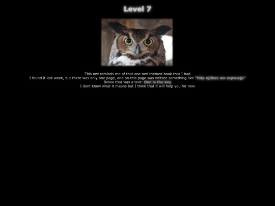 puzzle/owl screenshot