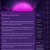 The web site of maii avatar