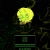  pygmiweed  avatar