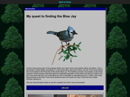 birds screenshot
