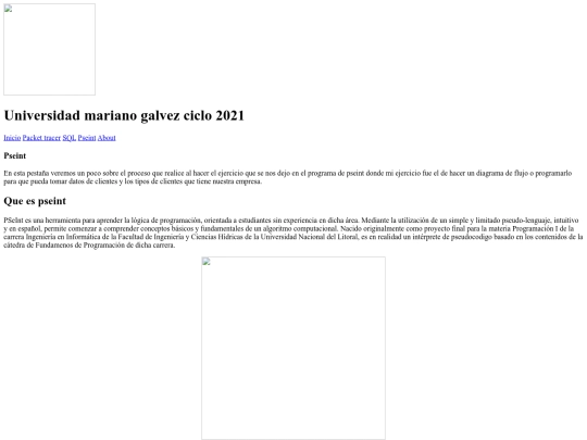 IMG/Pseint screenshot