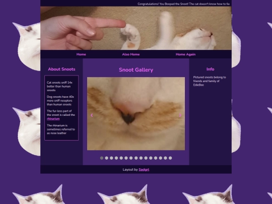Snoot/snoot screenshot