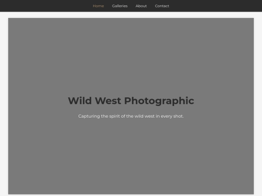WildWest3 screenshot