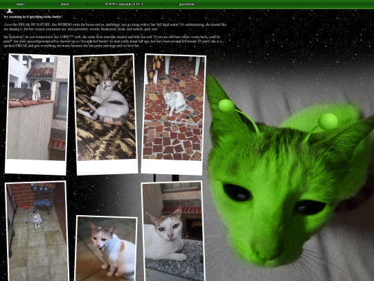 cat screenshot