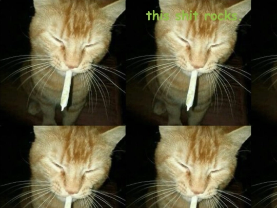 secret screenshot