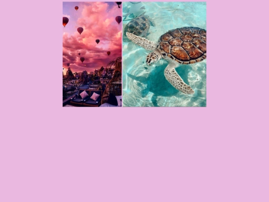 picture screenshot
