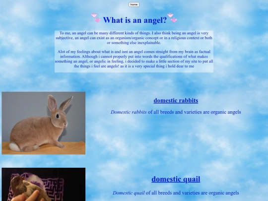 angels screenshot