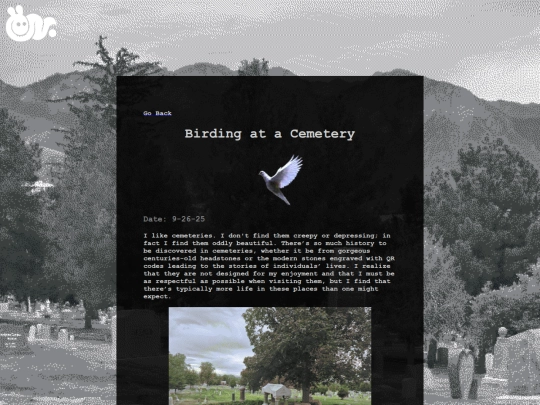 JB-BirdCemetery screenshot