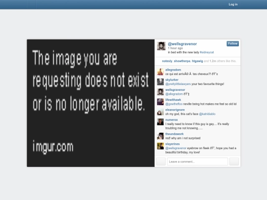 sidneycat screenshot
