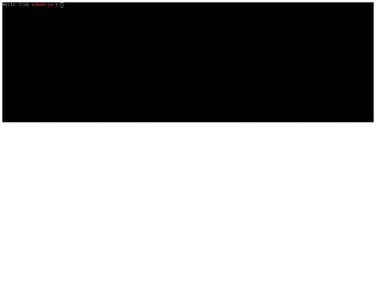 term screenshot