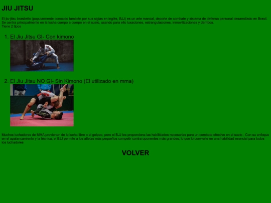 estilos mma proyecto/Bjj screenshot