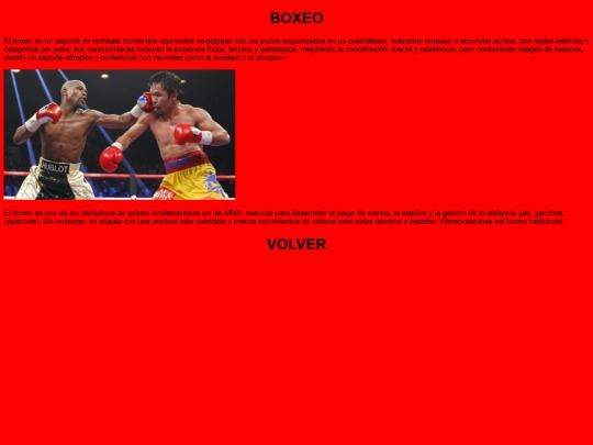estilos mma proyecto/Boxeo screenshot