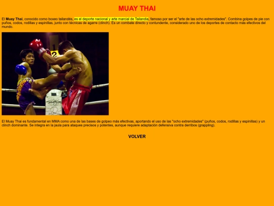 estilos mma proyecto/MuayThai screenshot