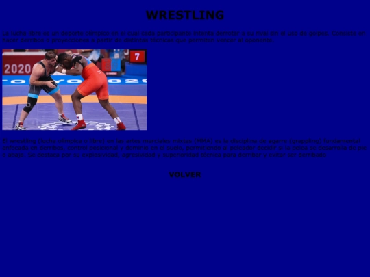 estilos mma proyecto/wrestling screenshot
