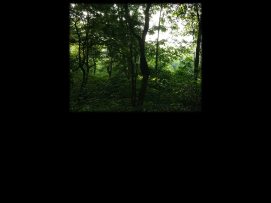 abrupter/somewhere screenshot