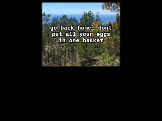 endgame/windup/closing/6893 screenshot