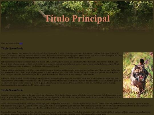 ejercicio 4b screenshot
