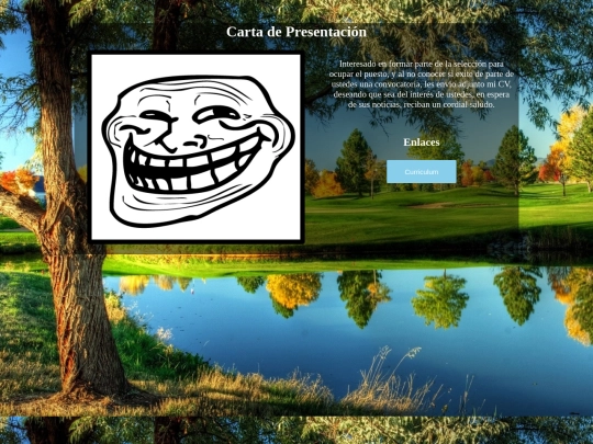 CV screenshot