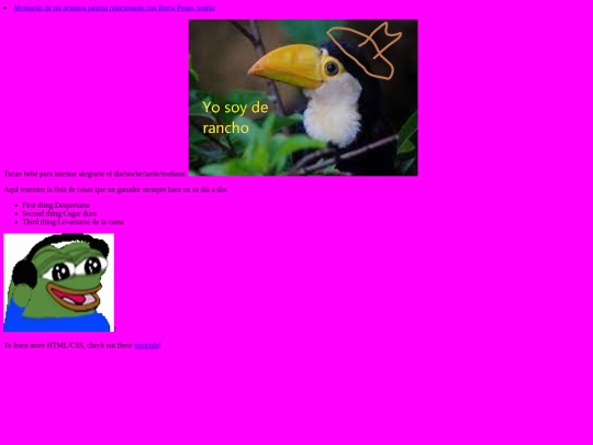 practica1 screenshot