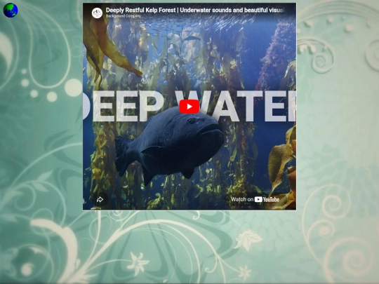 kelpforest screenshot
