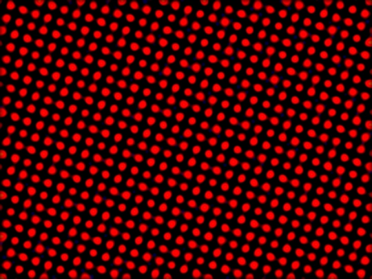 tests/ARTISM/cssgraphix/csswoah11 screenshot