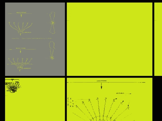 tests/gallery fun screenshot
