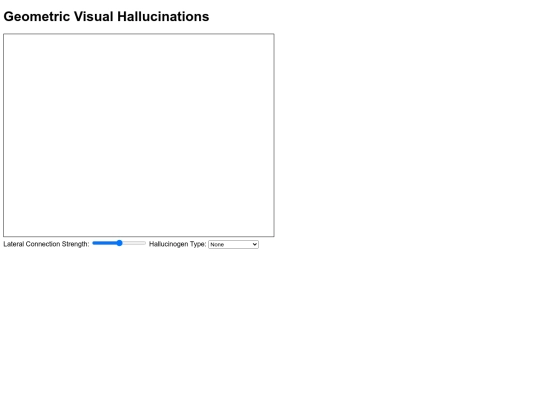tests/hallucin/viz/geometric screenshot