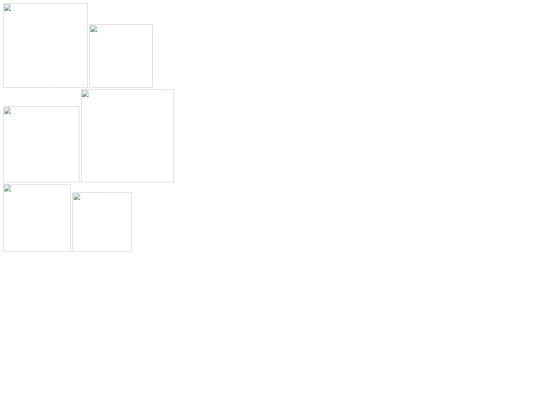 plantilla2_collage screenshot
