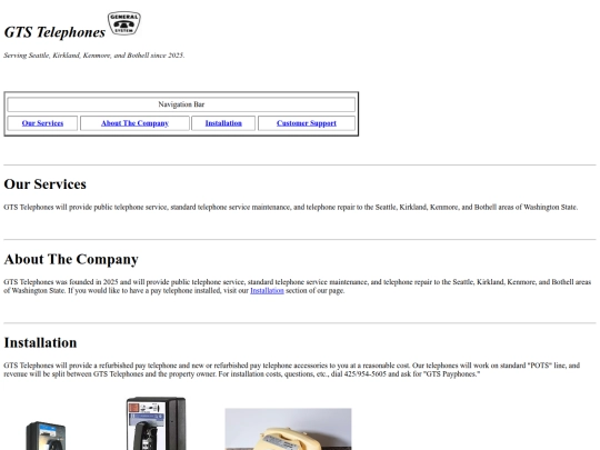 ~company/index1 screenshot